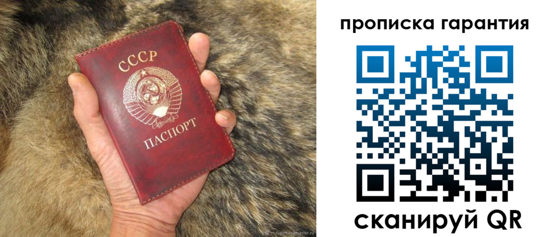 временная регистрация гарантия в Мирном